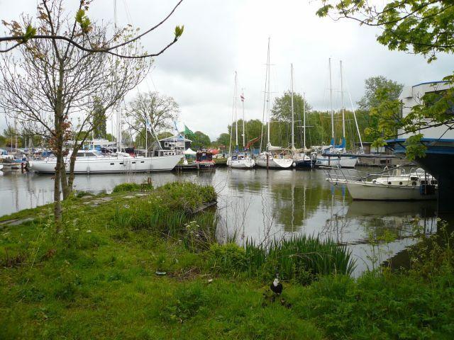 Houseboat Vliegenbos Bed and Breakfast Amsterdam Camera foto